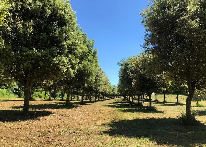 La Maison Du Gardien Domaine Du Château Des Loups Echire